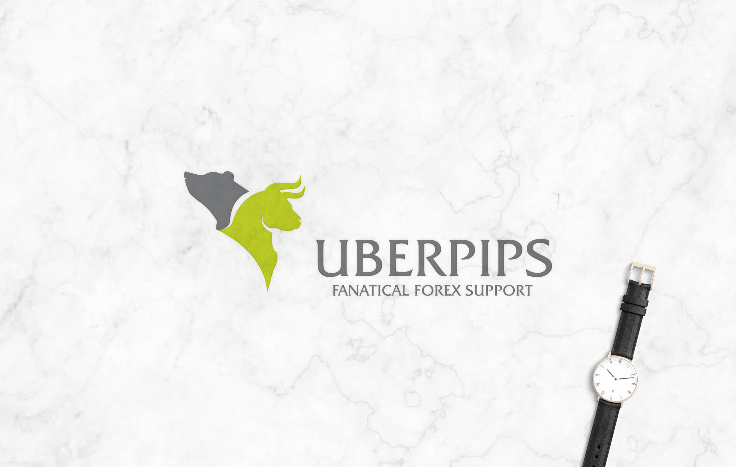 Uberpips-Fanatical-Forex-Support-brand-identity-design-by-Artisticodopeo-Designz-01 (5).jpg Image